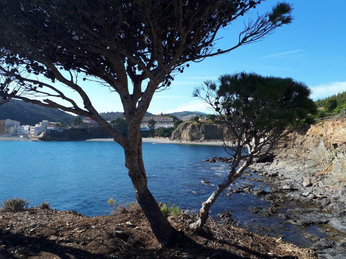 コレラ Eurusヴィラ エクステリア 写真